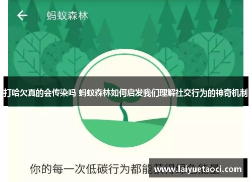 打哈欠真的会传染吗 蚂蚁森林如何启发我们理解社交行为的神奇机制